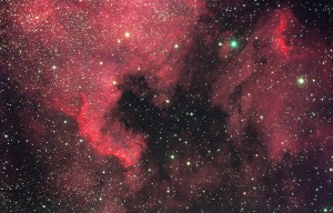 North American Nebula, 2009-11-21, 4min x 11, 4.25in f/3.9 Newtonian