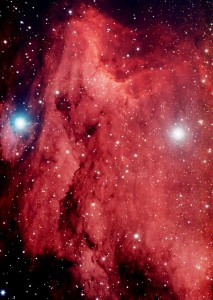 Pelican Nebula - A star birth region in Cygnus