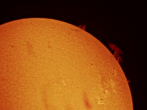H-Alpha image of the Sun showing prominences and filaments